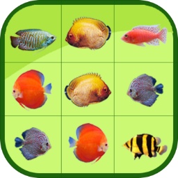 威斯尼斯人wns579